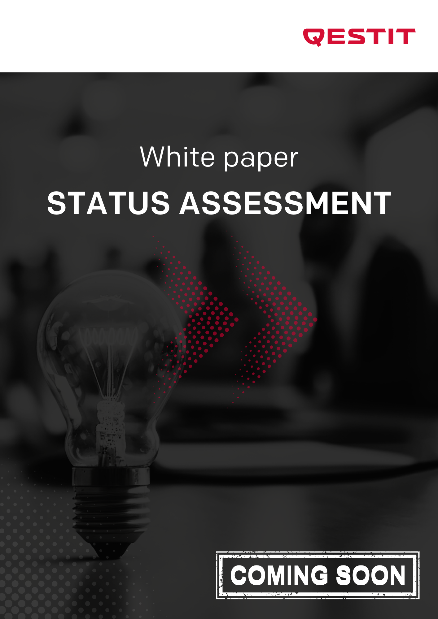 White Paper - Status Assessment